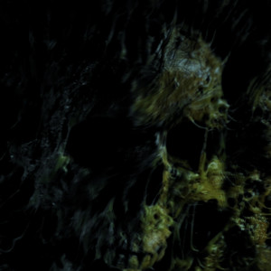Lose Control by Us Under