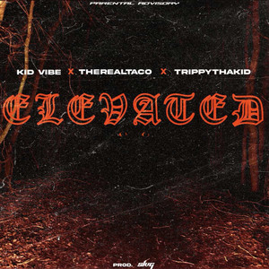Elevated by TheRealTaco, Kid Vibe, TrippyThaKid, SLVG, Ortiz