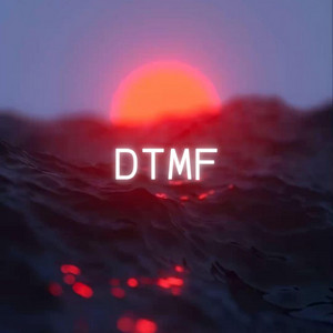 DtMF - House