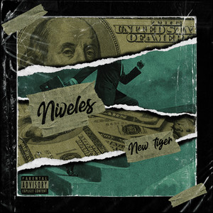 NEW TIGER - Niveles