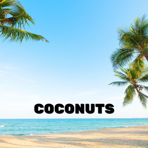 Coconuts by Sirena Linda