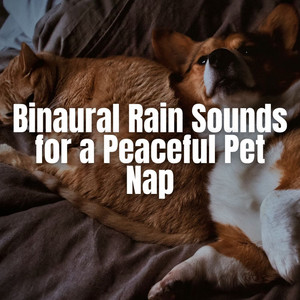 Binaural Rain Sounds for a Peaceful Pet Nap album