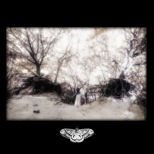 Through The Glass Door by Hanashi, ETRNL RAIN, KirbLaGoop, RXKNephew