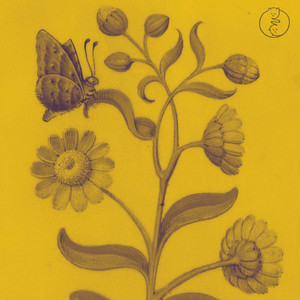 Marigold by Jonny Abbey, escapist.