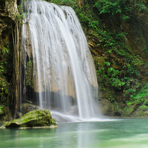Tropical Rainforest Piano Whispers