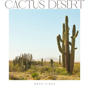 Cactus Desert by Nova Tides