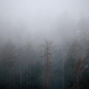 Rhythmic Solitude by Skógr