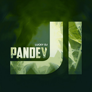 LUCKY DJ - Pandey Ji