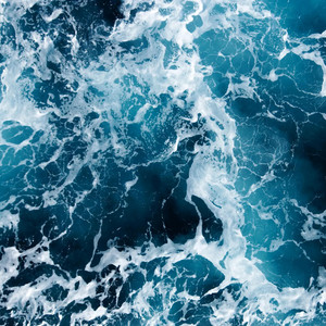 Adonai Agnello - The Winner Takes It All