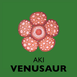 Venusaur - Radio Edit by AKI