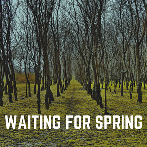 Waiting for Spring album