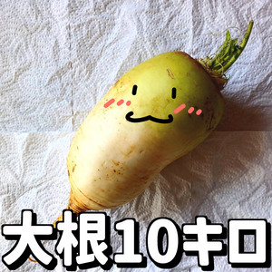 HappyPizzaBread - Radish 10kg