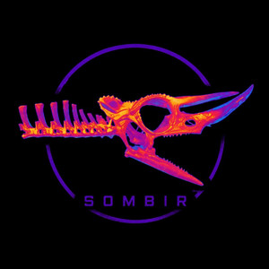 Anthem by Sombir