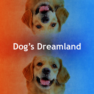 Dog Music Planet