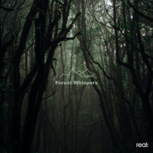 Forest Whispers by cairn