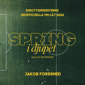 Spring i djupet (Alla vi är Sverige) by Jakob Forssmed