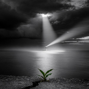 Celebrate life by Nick Spek