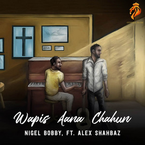 Wapis Aana Chahun