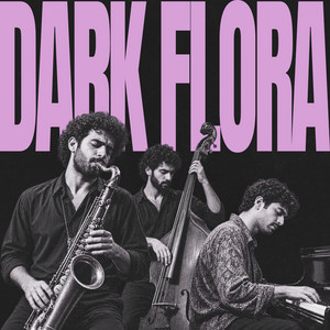 Isfahan, Half Remembered by Qajar Jazz
