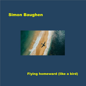 Flying home