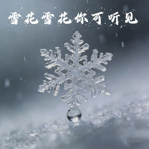 雪花雪花你可听见 - 刻骨痛心版 by 王娜, 阿美呀
