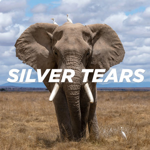 Silver Tears by Pale Blue