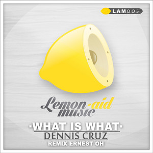 What Is What - Ernest Oh Remix cover art