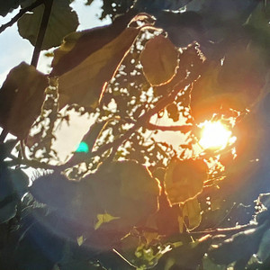 A Gentle Close - Nature Version by As you see