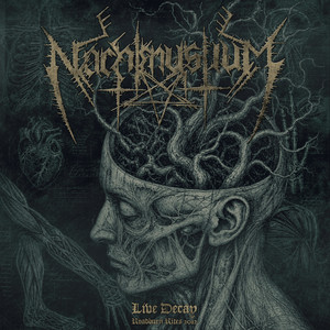 Intro: A Seed For Suffering - Live at Roadburn Festival, 13th April 2012 by Nachtmystium