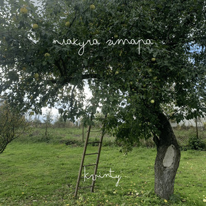 KVINTY - Плакуча гітара