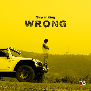 SkyranKing - Wrong