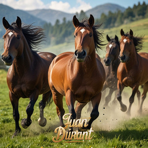 Te Equivocaste by Juan Durant