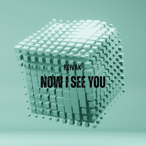 Now I See You (Radio edit) by Reivax