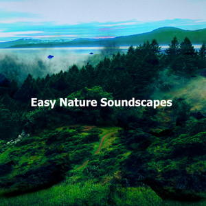 Easy Nature Soundscapes