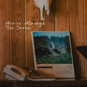 You're Always The Same by Salt