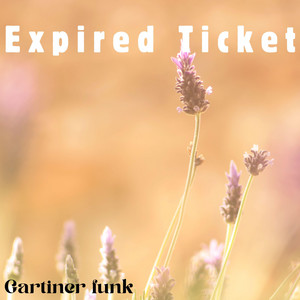 Expired Ticket by Gartiner funk