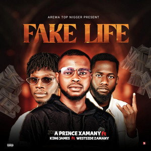 Fake life (feat. A_prince_xamani_-Ft-_king_james)