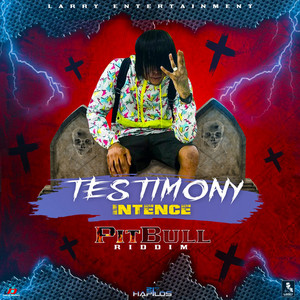 Testimony by Intence