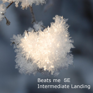 Intermediate Landing album