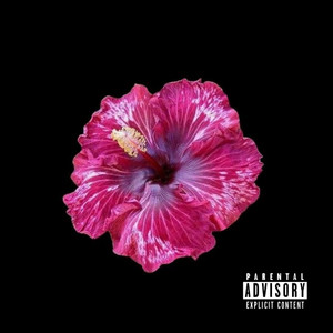 Zai'lyn Love - Glow-Up 2 (Solo Extended Rmx)