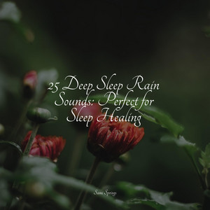 25 Deep Sleep Rain Sounds: Perfect for Sleep Healing album