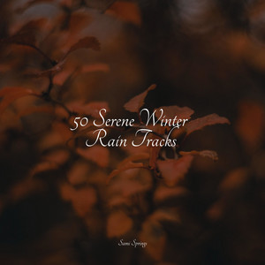 50 Serene Winter Rain Tracks album