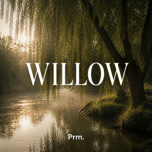 Willow by prm.