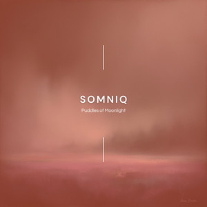 Puddles of Moonlight by Somniq
