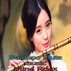 PB 29 Vlog and Review - Bamboo Flute Music