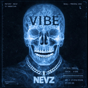 Vibe by NEVZ