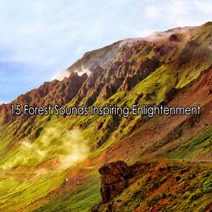 15 Forest Sounds Inspiring Enlightenment album