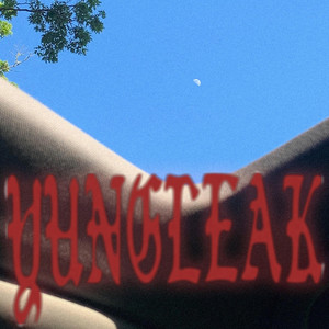 Yung Leak - This Not Pierre