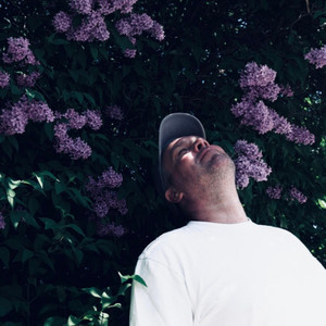 Obsessive Compulsive Dragster - Iris