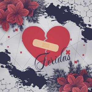 Feridas by VMZ